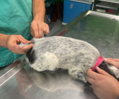 Sauvetage et protection