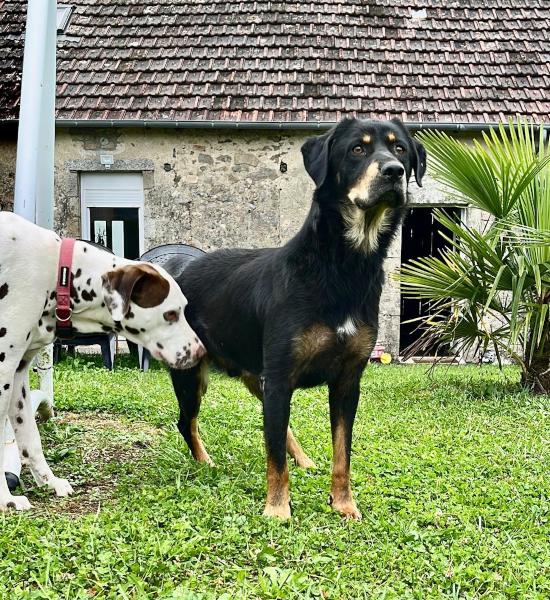 Pirate avec un copain