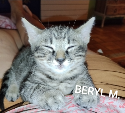 Béryl
